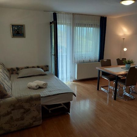 Apartmaji Vesna Bohinji-tó Kültér fotó