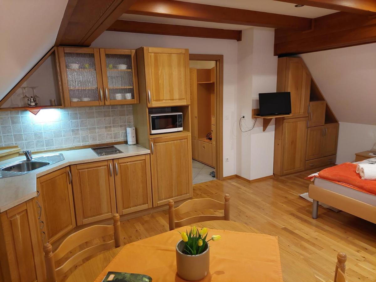 Apartmaji Vesna Bohinji-tó Kültér fotó