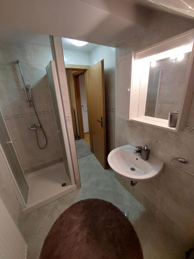 Apartmaji Vesna Bohinji-tó Kültér fotó