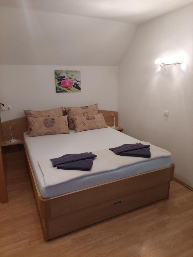 Apartmaji Vesna Bohinji-tó Kültér fotó