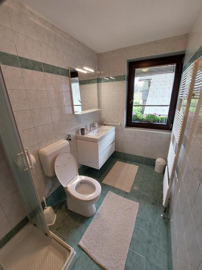 Apartmaji Vesna Bohinji-tó Kültér fotó