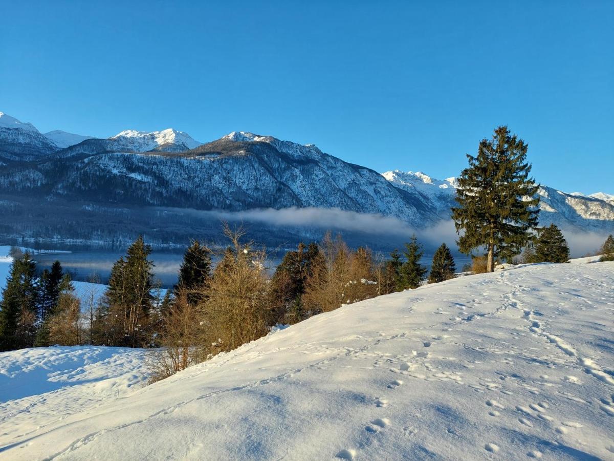 Apartmaji Vesna Apartman Bohinji-tó Kültér fotó