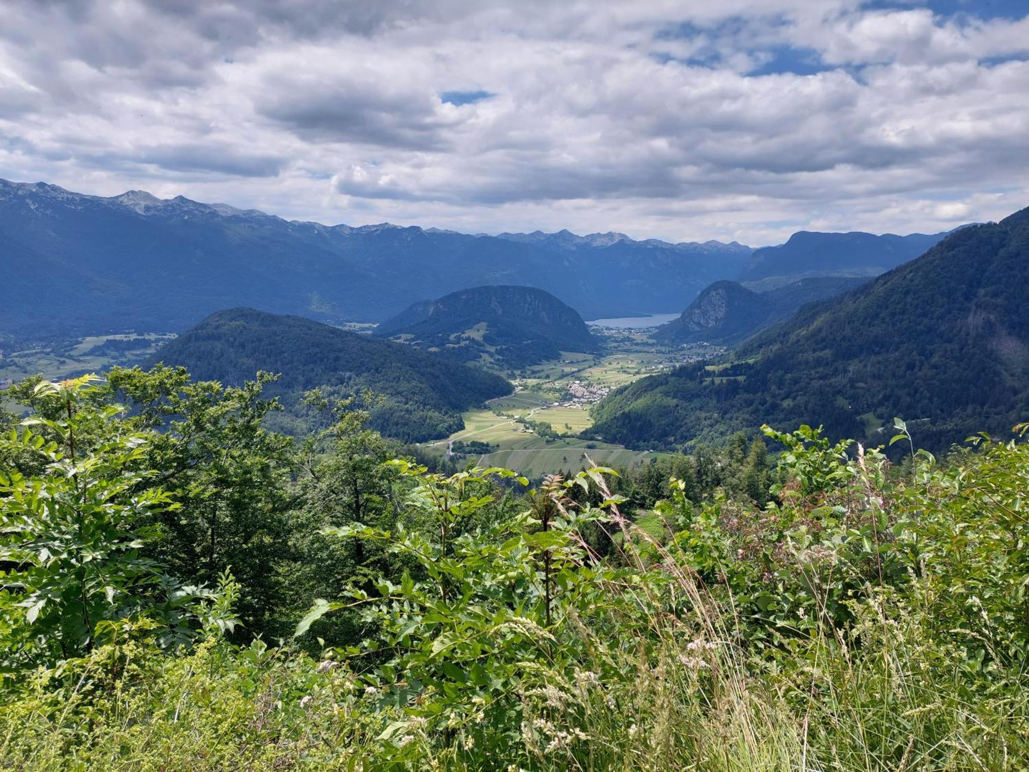 Apartmaji Vesna Bohinji-tó Kültér fotó
