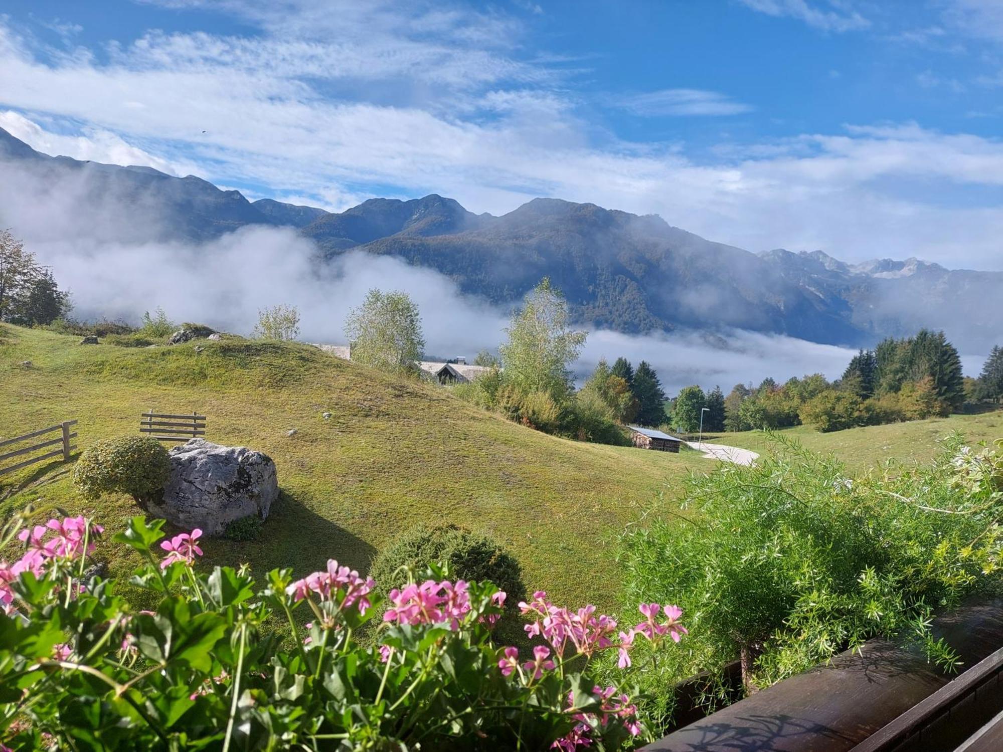 Apartmaji Vesna Bohinji-tó Kültér fotó