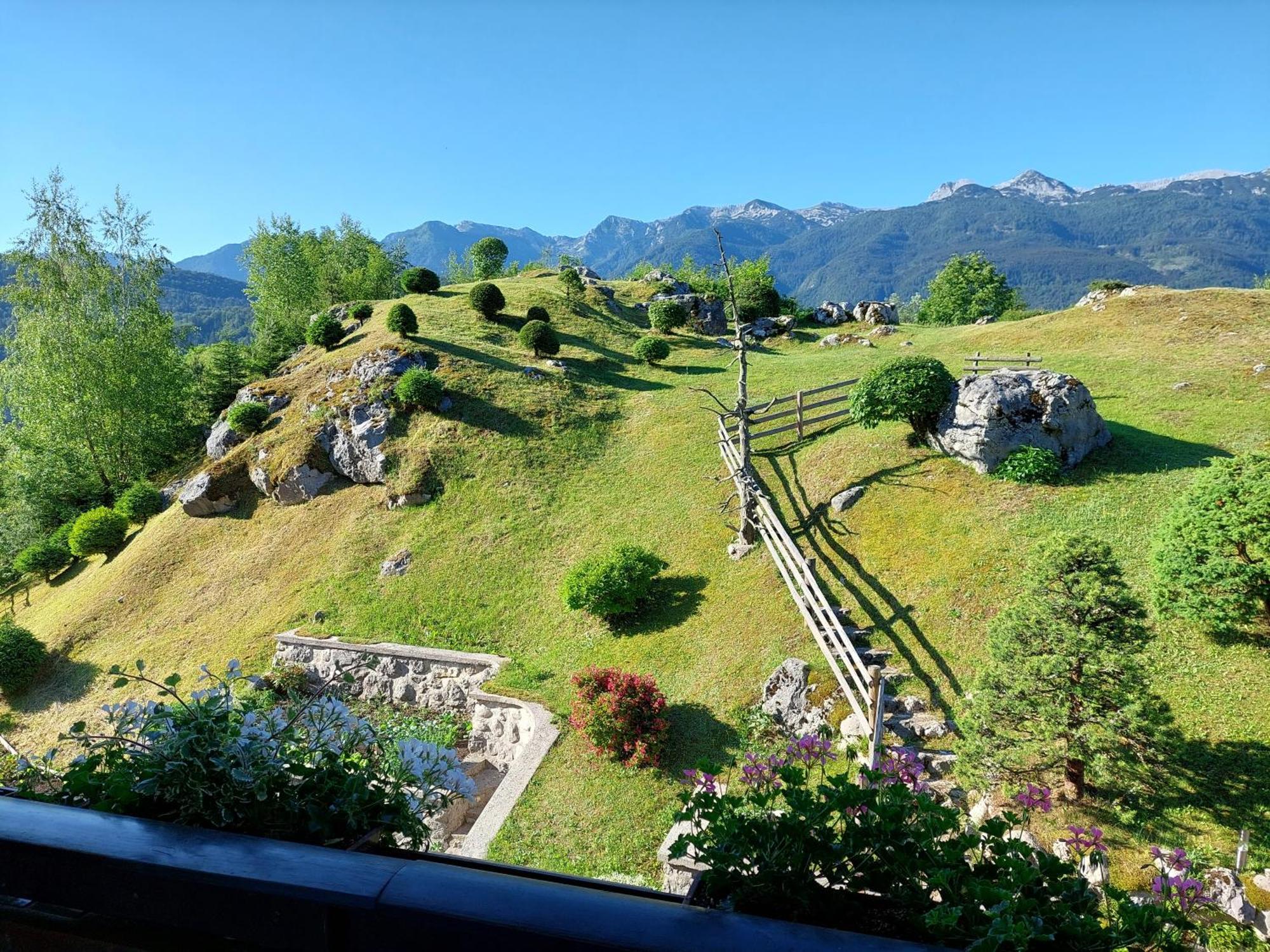 Apartmaji Vesna Bohinji-tó Kültér fotó