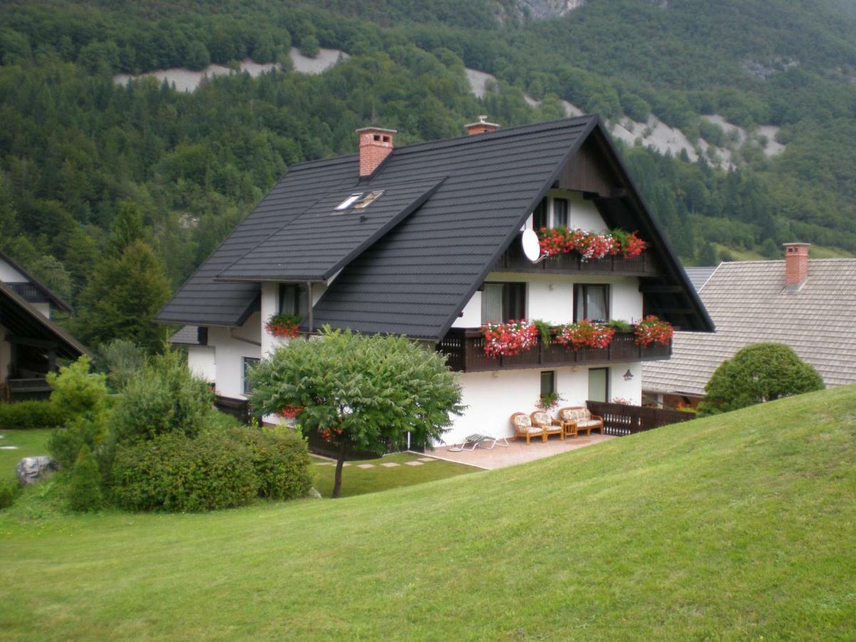 Apartmaji Vesna Bohinji-tó Kültér fotó